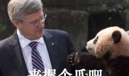 熊孩子爆料妈妈视频播放,揭秘家庭温馨瞬间